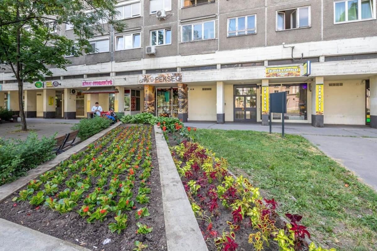 Cozy Quiet Apartment With A Balcony Будапеща Екстериор снимка